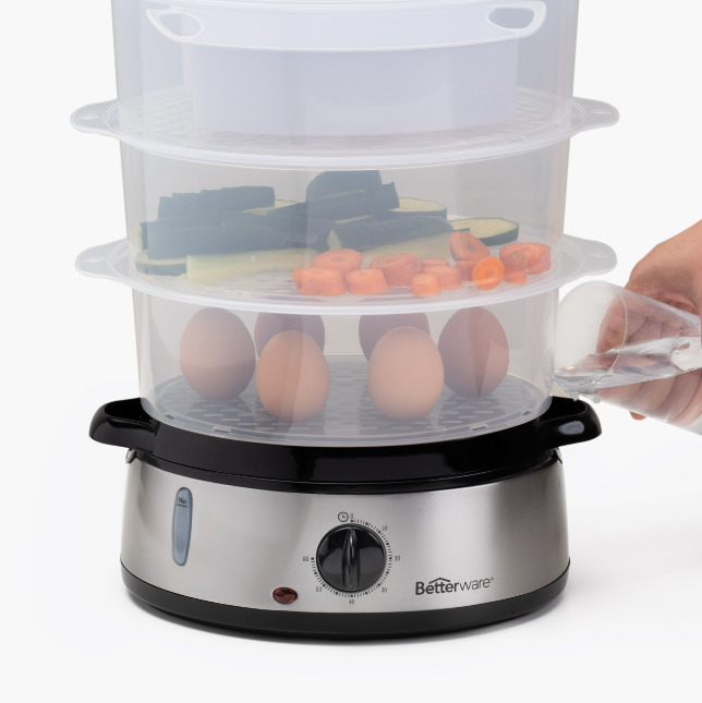 Electric Steamer